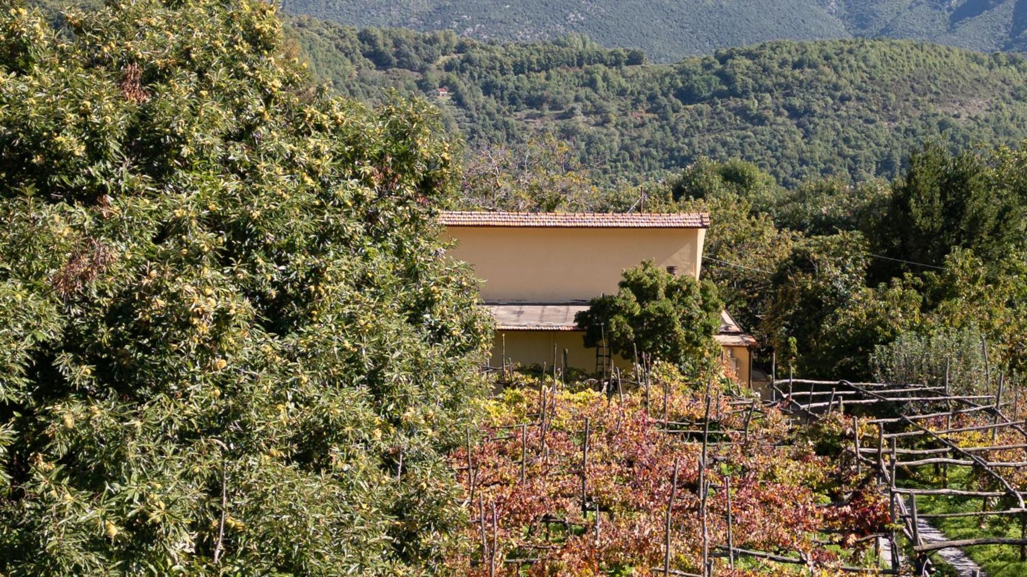 Casa Giordano Villa Tramonti Exterior photo